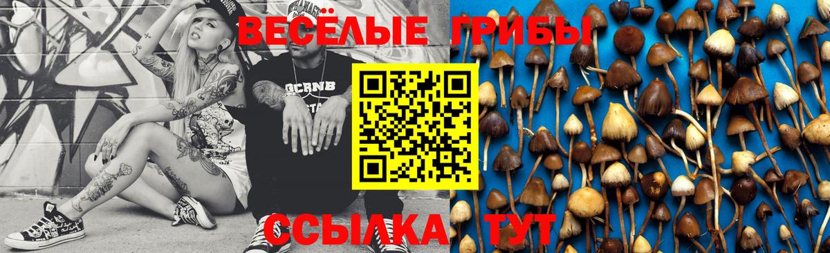 Псилоцибиновые грибы мухоморы  Вход с VPN  Джанкой  где купить наркоту  Галлюциногенные грибы GOLDEN TEACHER 